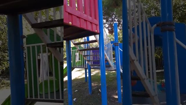 Алиса украла тапки у Дианы)