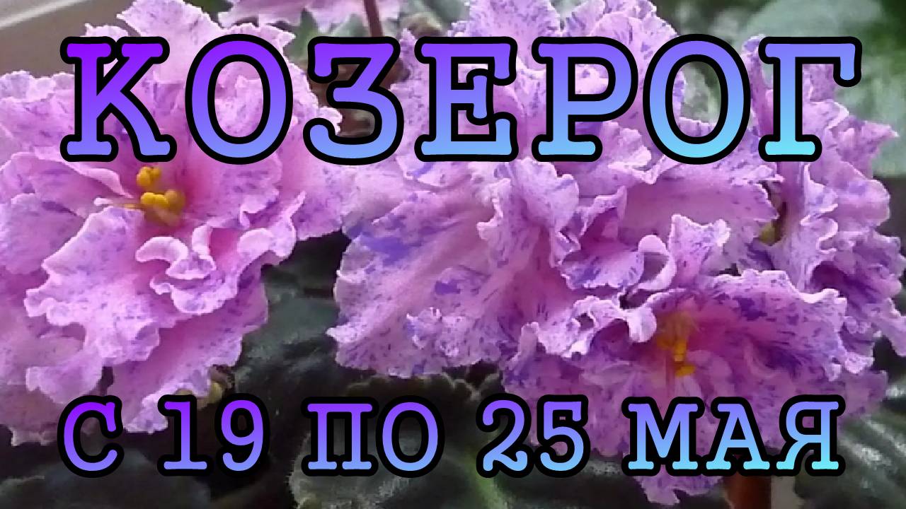 КОЗЕРОГ таро прогноз на неделю с 19 по 25 МАЯ 2025 года.