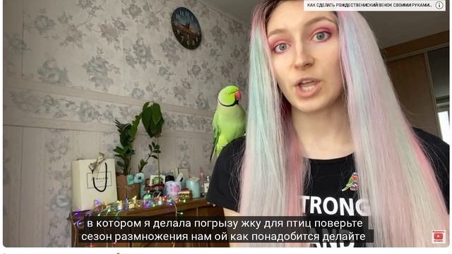 Размножение волнистых попугаев 🦜Как размножать попугаев в домашних условиях