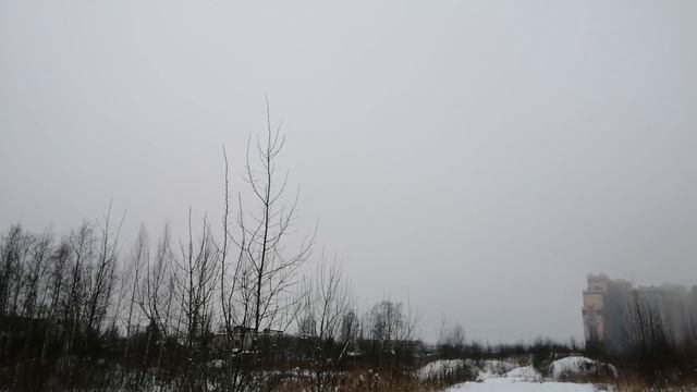 2022.12.10. Погода Петербург. 14:30. - 6°. Тепло. Всемирный день