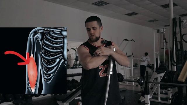 Бицепс как правильно выполнять!