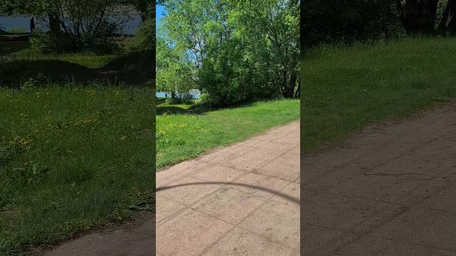Велопрогулка