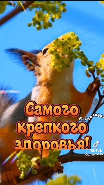 Доброе утро