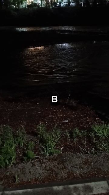 Не сдавайся