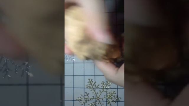 Медовые соты