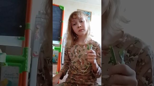 1000013377.mp4