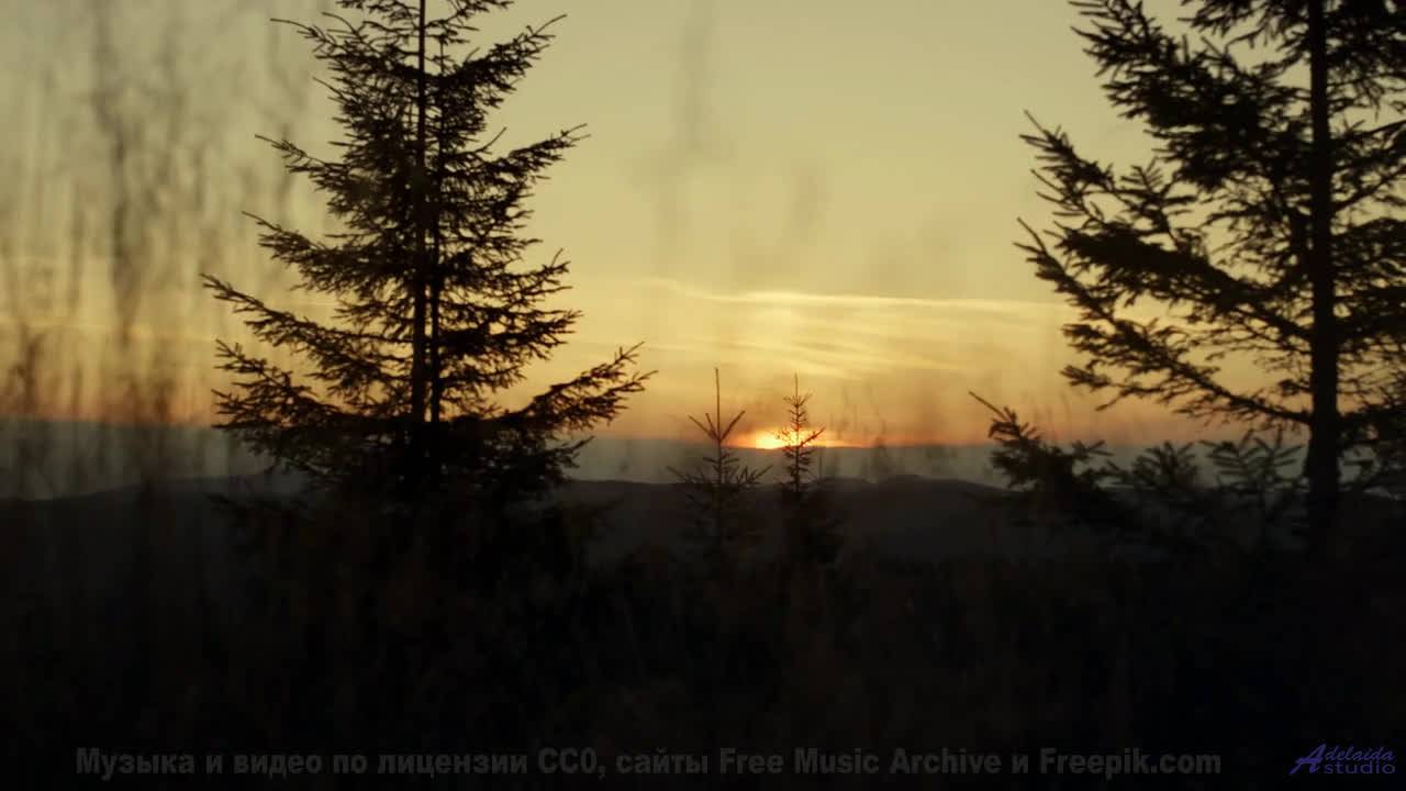 Как можно жить, не видя этой красоты! - Le Monstre -- Podington Bear -- Said Lion To Lamb (Box Set D