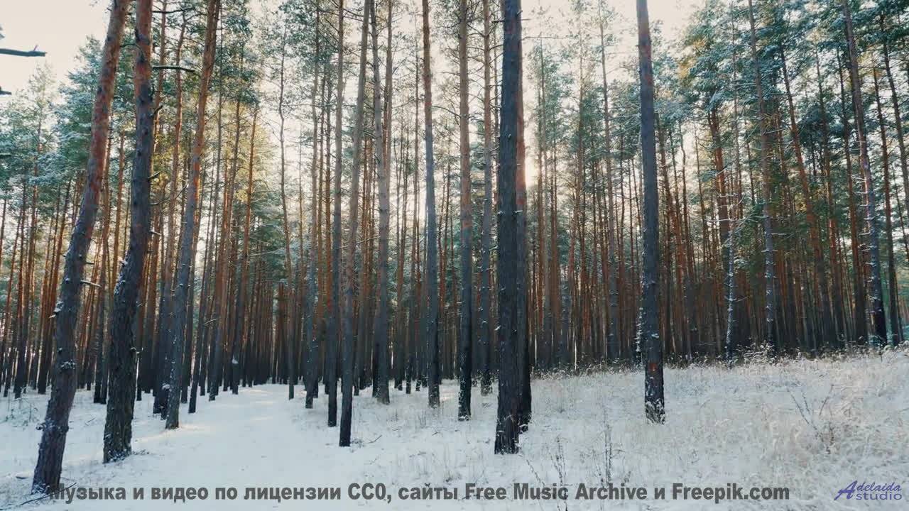 Мелодия, превращающая заднее сиденье в лучший номер отеля - Follow Your Heart -- Tadz -- My Way, All