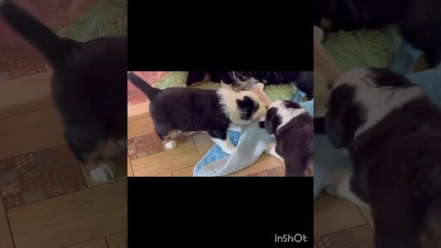 1000124425.mp4