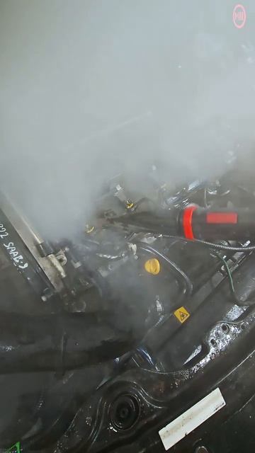 Мойка М3 Бухарестская. Мойка двигателя паром+консервант подкапотного пространства
