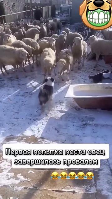 1000082769.mp4