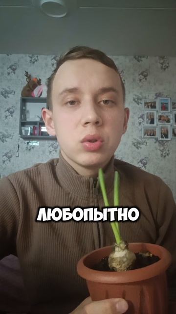 А вы знали, что 11% людей левши?