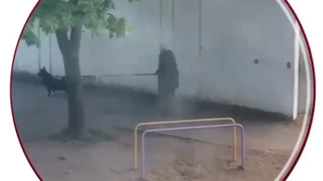 «Бабка залагала»: появилось очередное подтверждение того, что мы живём в матрице