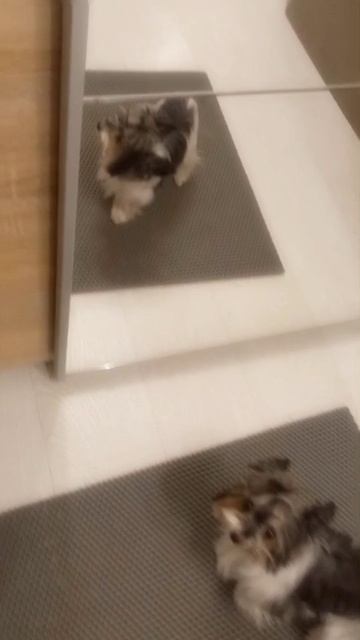 если что размытие это эффект 😁