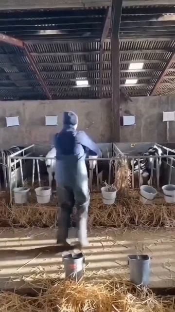 1000082870.mp4