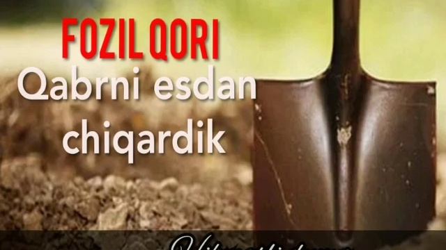 QABR HAQIDA FOZIL QORI | ҚАБР ҲАҚИДА ФОЗИЛ ҚОРИ