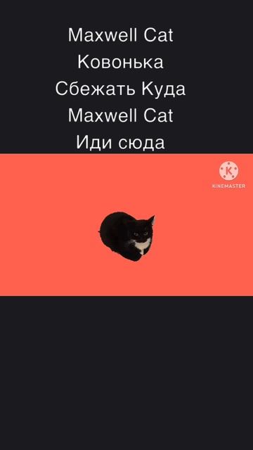 Maxwell Cat Колонка Сбежать Куда Maxwell Cat Иди сюда