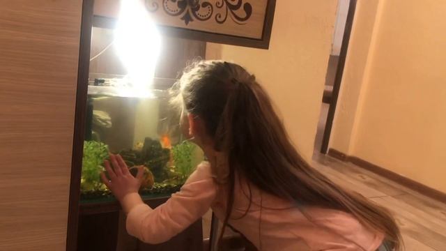 АКВАРИУМ Элисо/AQUARIUM Eliso/Էլիսոյի ԱԿՎԱՐԻՈՒՄԸ