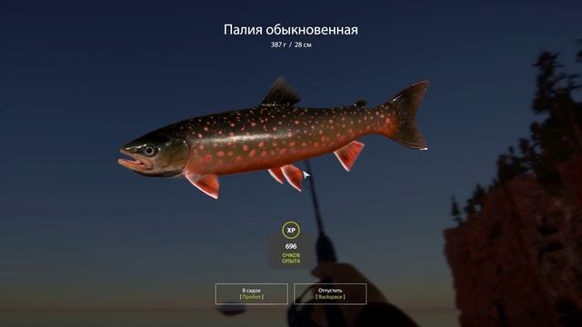 Russian Fishing 4: "Каролинка" и красный поролон