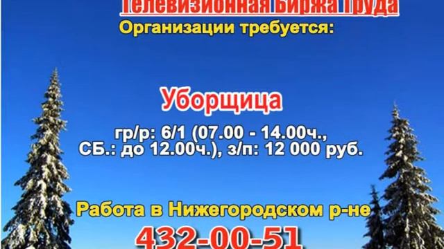 13 февраля_14.50_Работа в Нижнем Новгороде_Телевизионная Биржа Труда