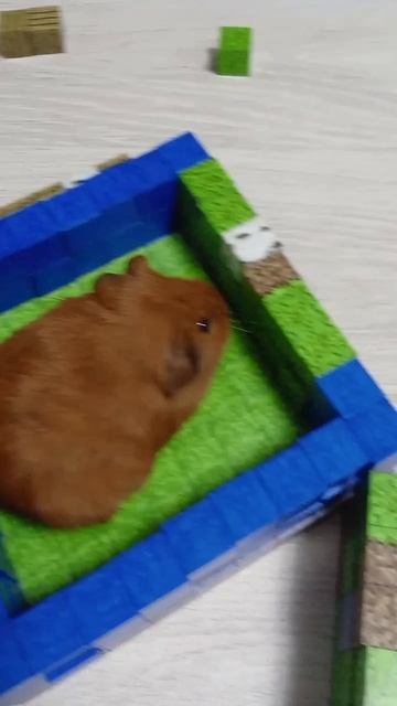 хоррор