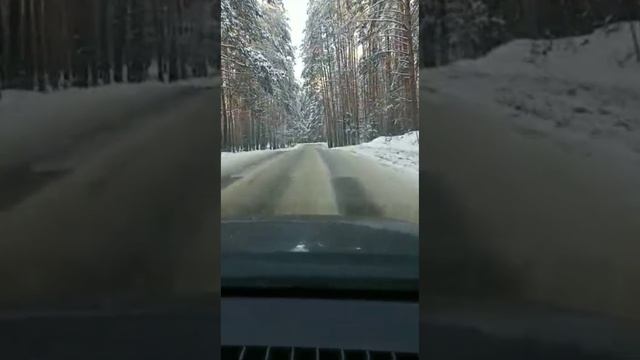 A trip along a forest road December 3, 2022