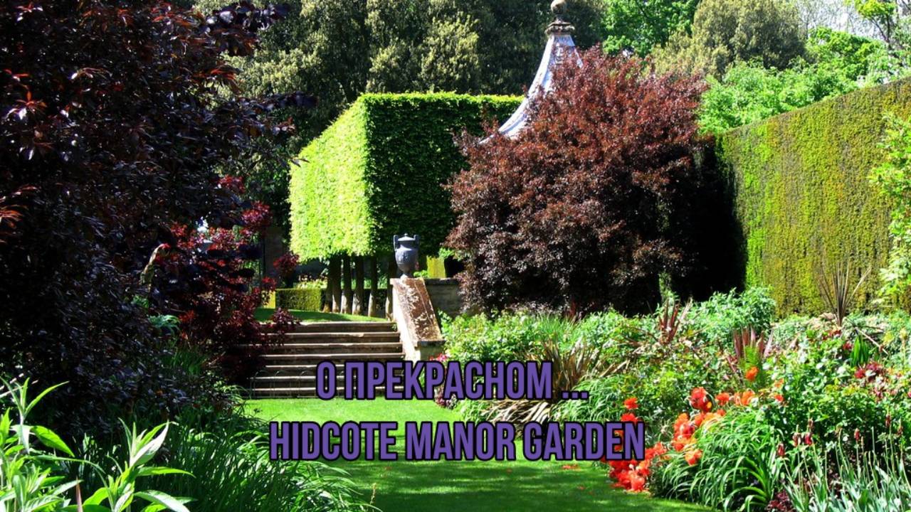 О ПРЕКРАСНОМ*      Hidcote Manor Garden