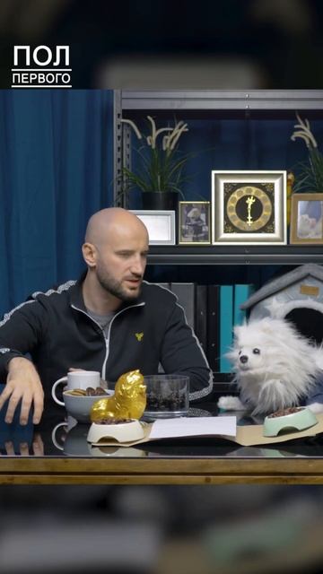 «Ты — настоящий?» #шпицканал #беларускіютуб #лукашенко