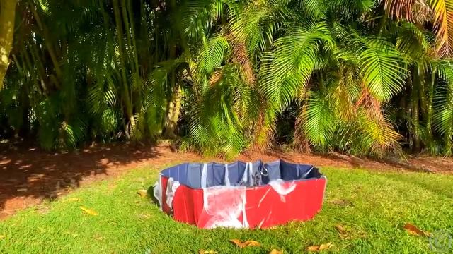 Лайк Настя (Like Nastya) - Настя и папа играют на улице и делают слайм