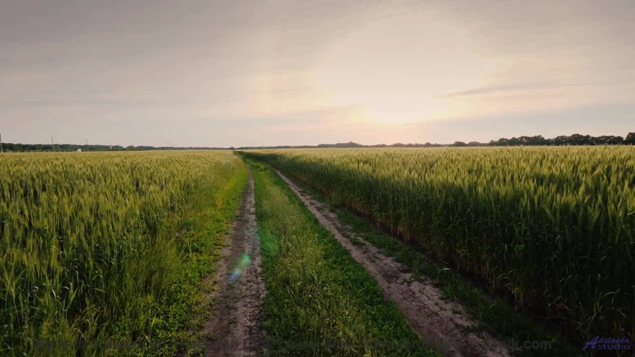 Лёгкие наполняются свежестью вместе со звучащими нотами - Acid Road -- Ketsa -- Ascendance