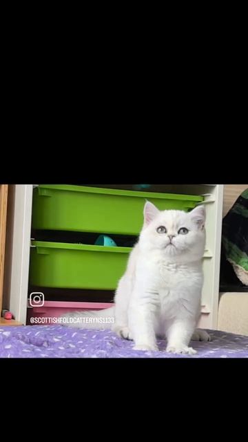 VID_20250516_094023_569.mp4