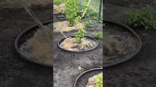 лайфхаки для дачи