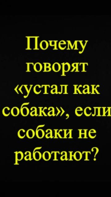 Мозгоправ самоубился. Книга первая. Вопрос 38