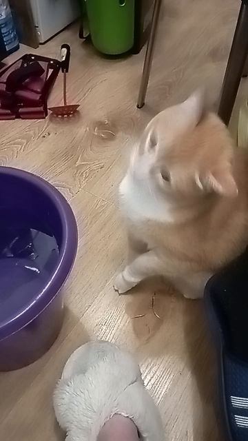 1000000690.mp4