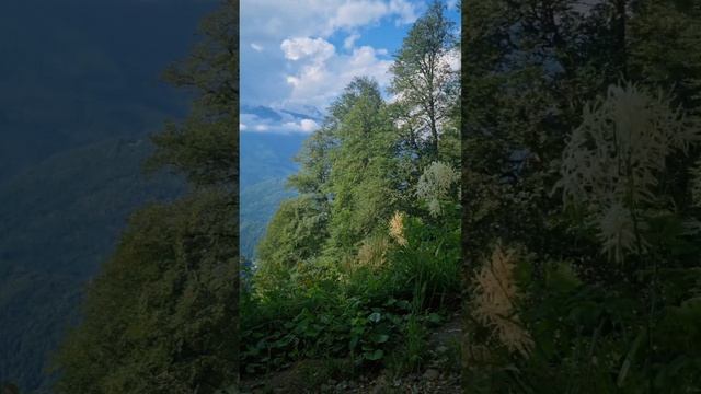 Обзор пешего похода к водопаду Поликаря (Сочи, горнолыжный курорт Красная Поляна)