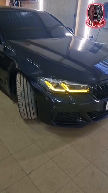 BMW G30 фары CS / 8 995 788 33 83