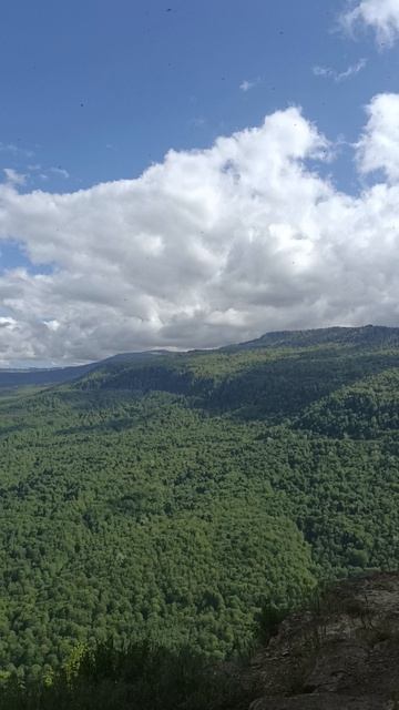 Орлиная Полка