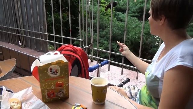 Мисс Кэйти и Мистер Макс (Miss Katy) Кэти и Макс купили новые игрушки