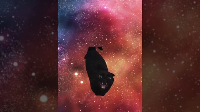 Тимон Оііа/Тимошка и Шушик