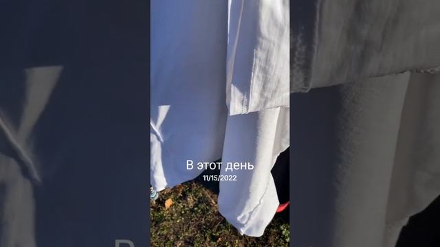 отстирала жёлтые подмышки