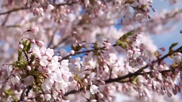 Выбирая в свадебном салоне платье для сестры, Наталья
