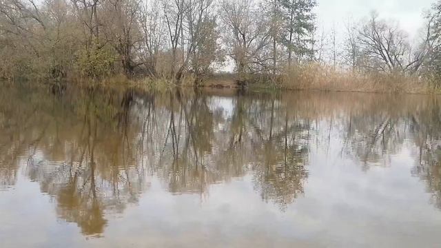Санаторий им.Цурюпы. Река Икорец пляж просто супер, прозрачная вода
