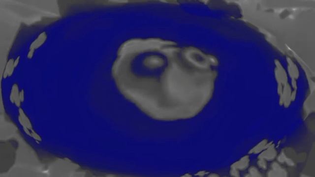 Шапка Теле Программы 10 Самых Горячих Клипов Дня in Syntheti