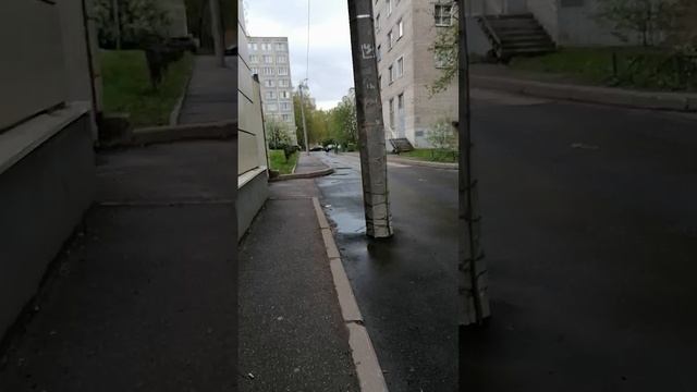 Интересные места Невского района
если еще не видели