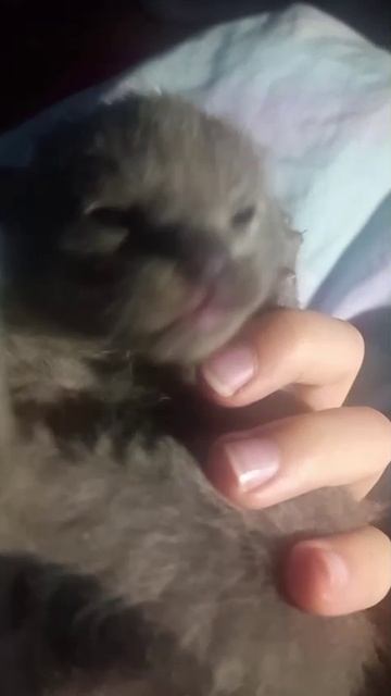 1000016875.mp4