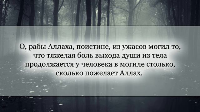 Пятничная хутба на тему: «Смягчение сердец от напоминания ужасов могилы»| Абу Малик Сабир аль-Ляхдж