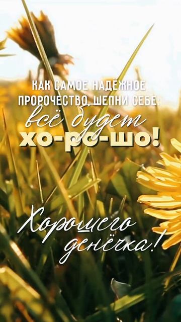 Хорошего дня