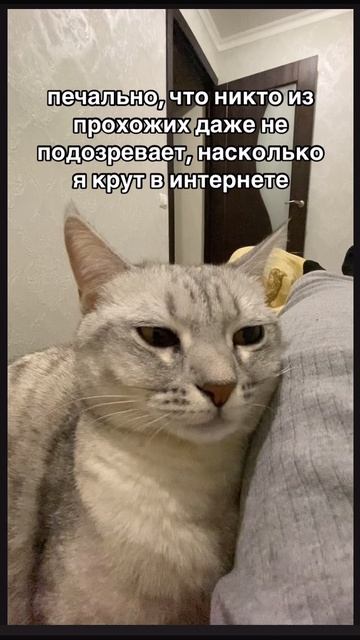 17-05-2025
