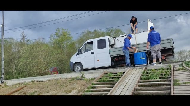 Зарыбление Амуром