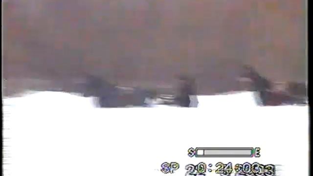 Голубковское 2003 -  3 лет рыс.пор.